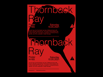 Thornback Ray adobe archive art design experimental fine arts graphic design graphics illustration minimal paper photoshop poster poster art poster design print simple type typography