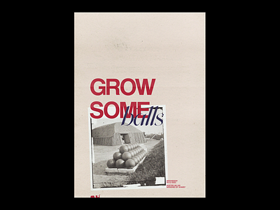 Grow some balls adobe archive art collage design experimental fine arts graphic design graphics illustration minimal paper photoshop poster poster art poster design print simple type typography
