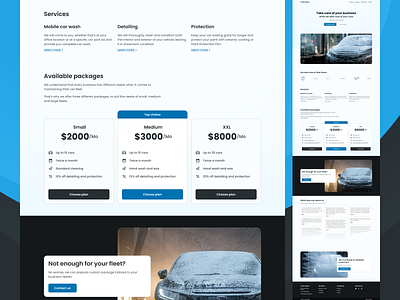 Landing page - packages | Mobile car was blue car wash landing page monochromatic packages pricing services ui web web design
