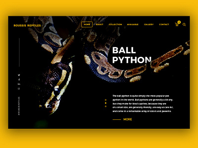 Reptile Homepage banner homepage python reptile shop snake web website