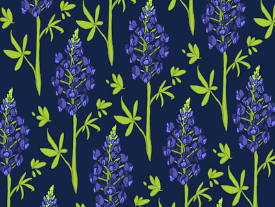 Bluebonnet Pattern botanical illustration design flower illustration flower pattern illustration pattern design procreate