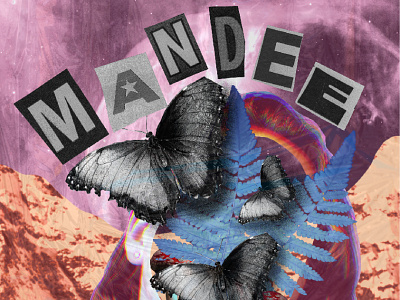 MANDEE branding graphic design