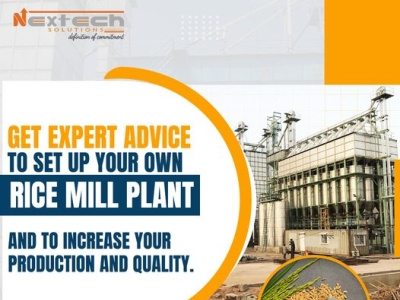 Best Rice Mill Plant Consultants In Delhi, India