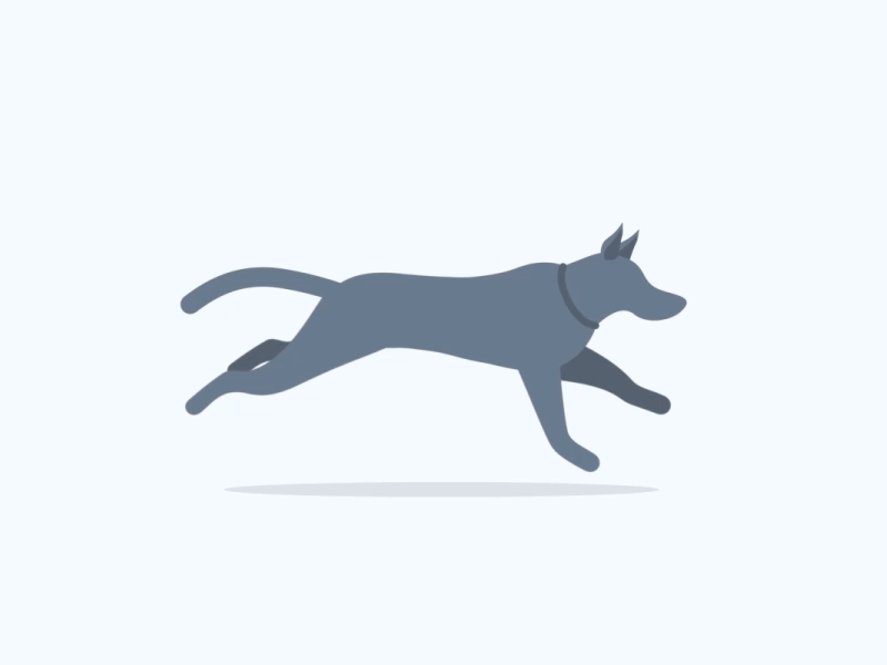 Dog Run Cycle 2d after effects animation flat design gif graphic design illustration motion motiongraphics walk cycle