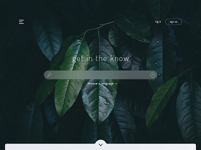 Daily UI | 022 daily ui landing page nature search search bar