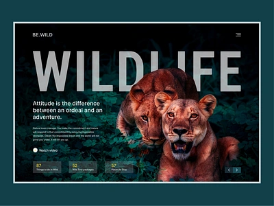 Wild Life - Landing Page Design adventure animals bitmatestudio flat forest green header landing page nature page tiger travel trend ui uiux ux web web design wildlife zoo