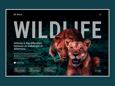 Wild Life - Landing Page Design