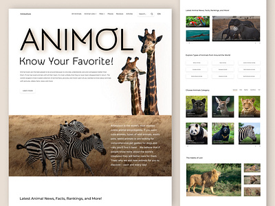 Animolzon Landing Page EXPLORATION