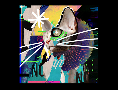 Februllage 2022 - Cat - Digital Collage artwork branding collage design februllage graphic design illustrartions illustration motiongraphics poster