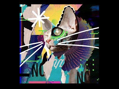 Februllage  2022 - Cat - Digital Collage