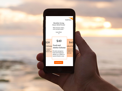 World Vision Donation Scheme charity children dailyui donation giving ios mobile money pricing ui ux world vision