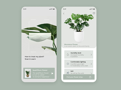 Mobile app for taking care of houseplants design mobile ui web design