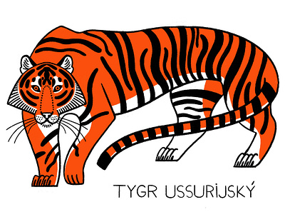 Tiger ZOO postcard branding design graphic design illustration vector