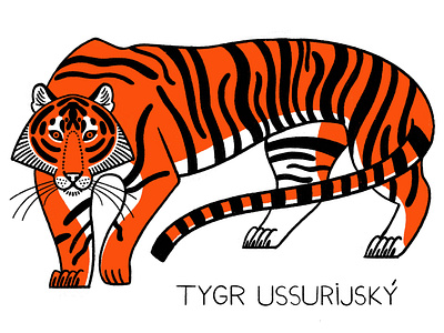Tiger ZOO postcard