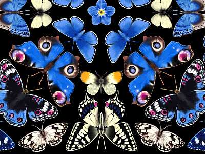 Butterfly pattern - silken scarves