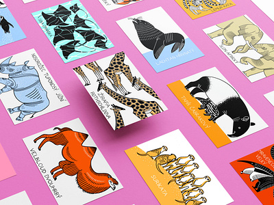 ZOO postcards animals branding design illustration postcard vector