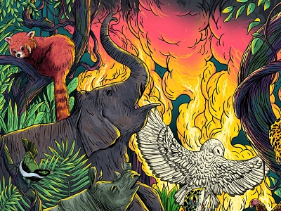 Endangered Species art contest elephant endangeredspecies fire illustration nature redpanda rhino snowowl wacom wwf