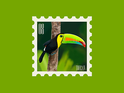 Keel Billed Toucan birds illustration stamp toucan