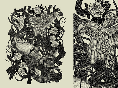 🦊 & 🐓 enemies flower graphicdesign hen illustration nature series