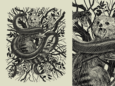 🐍 &🦝 art design enemy flower illustration indian mongoose nature series