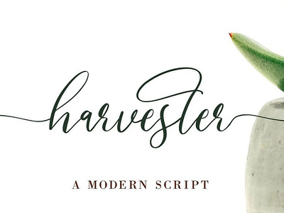 Harvester - Modern Script Font display font free free font freebie type typeface vintage