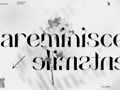 areminiscentsmile - Free Elegant Serif Typeface design display font free free font freebie illustration logo type typeface vintage