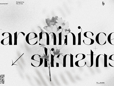 areminiscentsmile - Free Elegant Serif Typeface