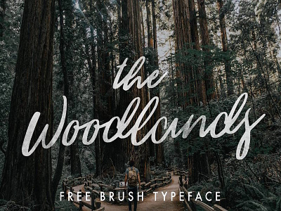 The Woodlands - Free Brush Typeface