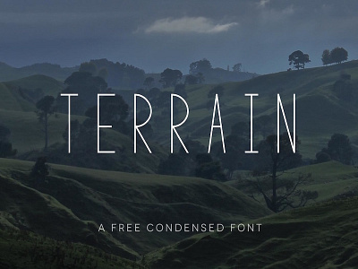 Terrain - Free Condensed Font condensed display font free free font free fonts free typeface freebie minimal modern sans serif typeface