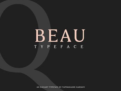 BEAU - FREE SERIF TYPEFACE