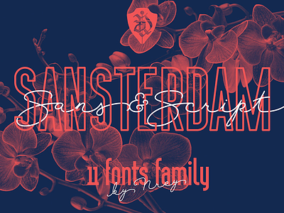 SANSTERDAM FONT FAMILY decorative design display font free free font free sans sans serif script script font type typeface