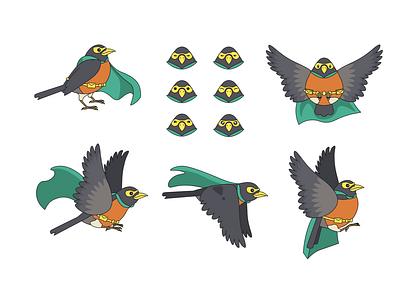 Robin: Character Study design graphic design illustration illustrator nature vector