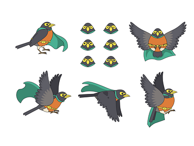 Robin: Character Study