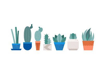 Succulents 2