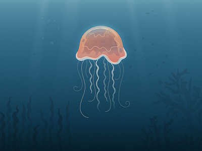 Jellyfish coral illustration illustrator jellyfish ocean vector water