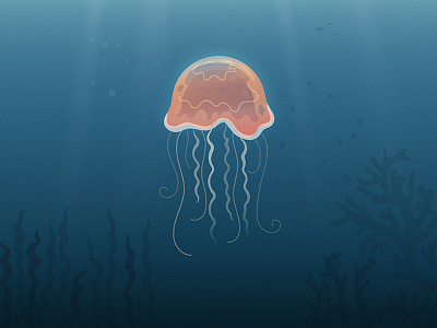 Jellyfish