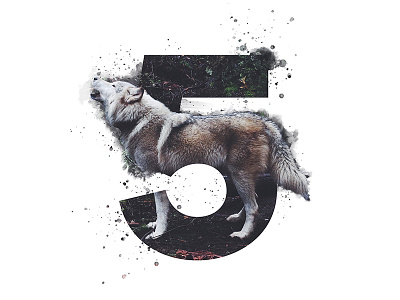 5 Years 5 wolf wolf art