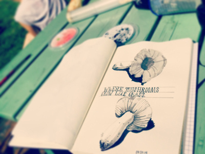 Mushrooms drawing illustration ink mushrooms pen sketch sketchbook