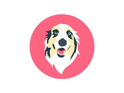 Free Bailey austrailian shepherd bailley blend blend labs dog free hackathon illustration office office dog pet san francisco