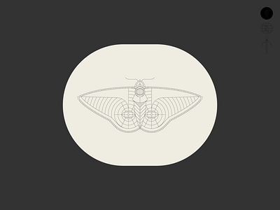 Moth badge brand branding identity illustration logo moth tattoo traditional