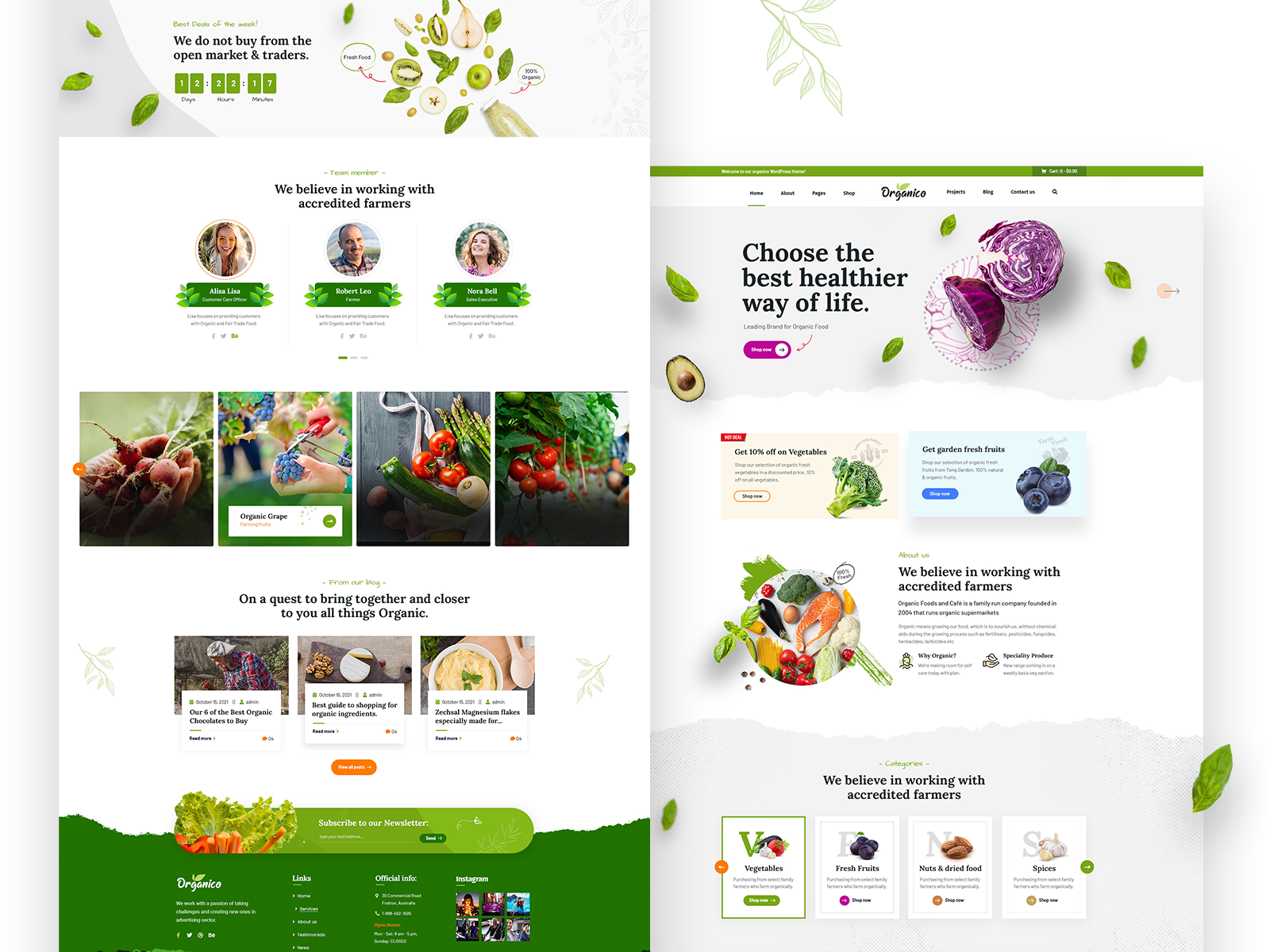 Organic Food Store by Hasib Sharif on Dribbble