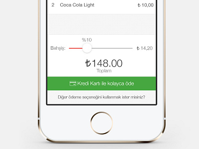 Make Payment check credit card flat ios7 make payment money payment tip ui