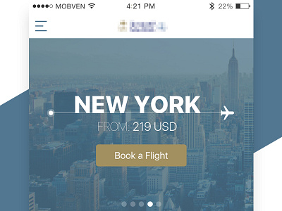 Flight App airplane app blurred book flight booking flight ios8 mobile ticket ui ux
