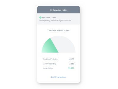 Daily UI #066 - Statistics 066 bank budget daily ui statistics