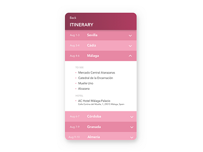 Daily UI #079 - Itinerary