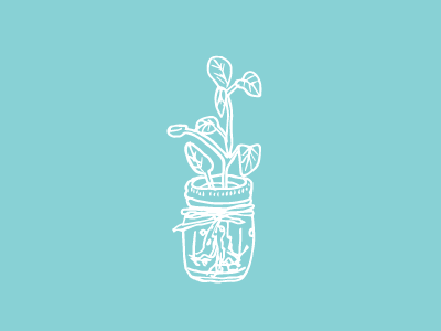 New hand-drawn icons design designer handdrawn icon iconography illustration illustrator jar masonjar nature plant vector