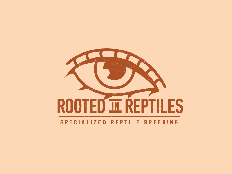 Rooted In Reptiles By Lindsay Rogers On Dribbble