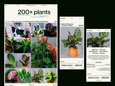 Grounded - plant store animal catalog concept desktop e commerce figma graphic design growing mobile online shop plant shop plants product card store typography ui ux visual webdesign website