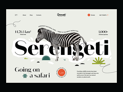 National Park web - Serengeti africa animals concept design geometry graphic design home main page minimal national park shapes tour travel typography ui ux vector visual web webdesign