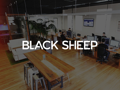 Black Sheep - the creative web design studio